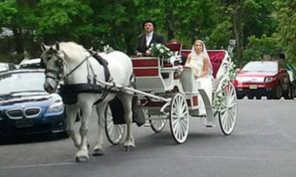 Wedding Carriage      Horse and Carriage     Indian Weddings