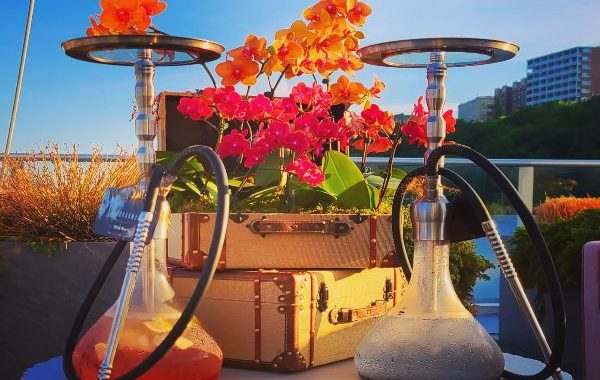 HOOKAH TO GO